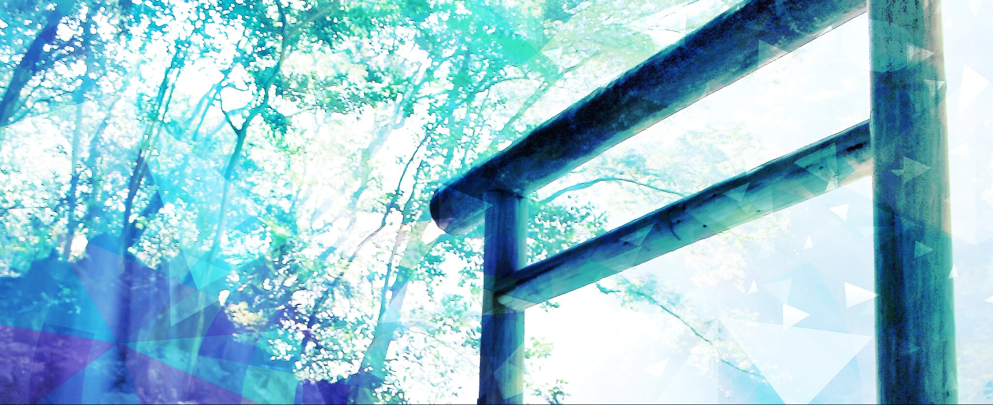 木漏れ日の中に立つ神社の鳥居